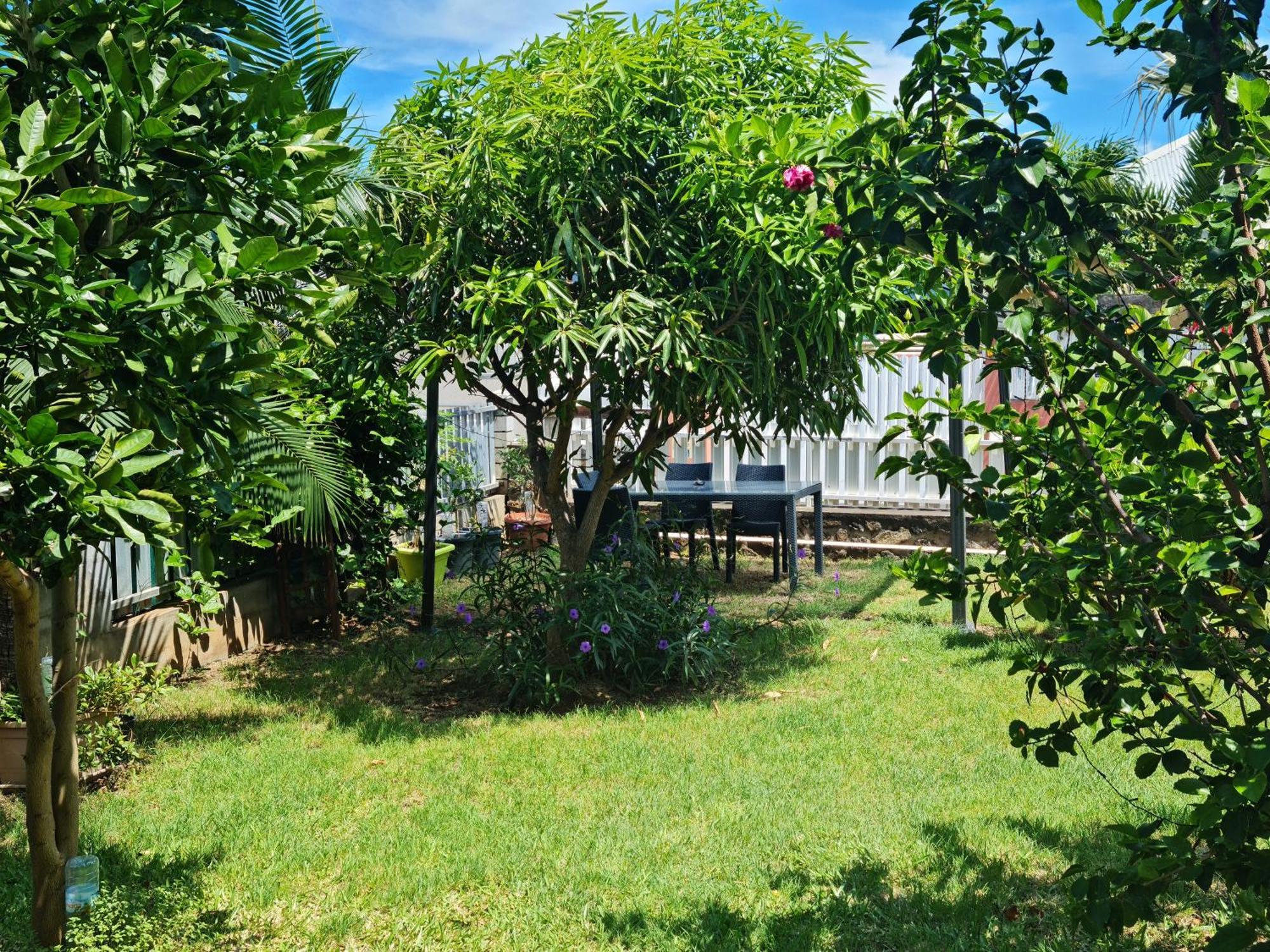 Zoizo Vert - Studio Au Calme Avec Jardin - St Leu แซ็งต์-เลอ ภายนอก รูปภาพ